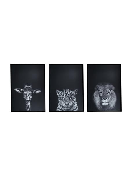 Gerahmtes Kunstdruck-Set Wild-Life, 3-tlg., Rahmen: Eukalyptusholz, Mitteldic, Schwarz, Weiss, 53 x 73 cm