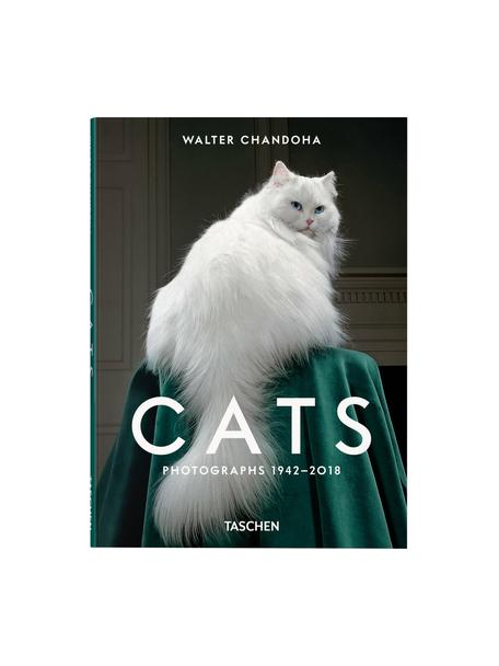 Livre photo Cats. Photographs 1942–2018, Papier, couverture rigide, Cats. Photographs 1942–2018, larg. 14 x haut. 20 cm