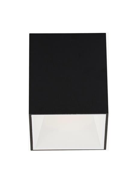 Stropní LED bodové svítidlo Marty, Černá, bílá, Š 10 cm, V 12 cm