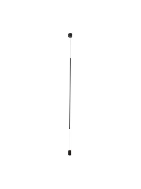 Lámpara de techo con fijación al suelo LED de diseño Elettra, Lámpara: aluminio recubierto, Anclaje: aluminio recubierto, Cable: metal, Negro, Ø 7 x Al 120 cm