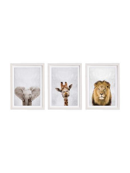 Gerahmtes Digitaldruck-Set Wild Animals, 3-tlg., Bild: Digitaldruck auf Papier, Rahmen: Holz, lackiert, Mehrfarbig, 35 x 45 cm