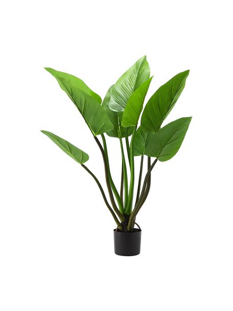 Planta artificial en maceta Alocasia, Plástico, Verde, Al 91 cm