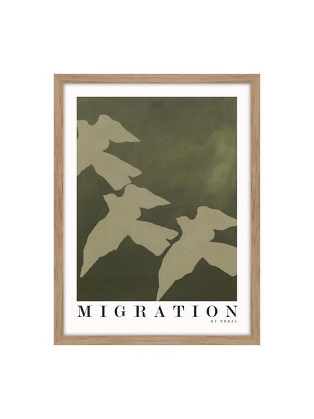 Stampa digitale incorniciata Migration, Immagine: cartoncino pressato duro, Cornice: legno di quercia, Tonalità verdi, bianco, nero, Larg. 30 x Alt. 40 cm