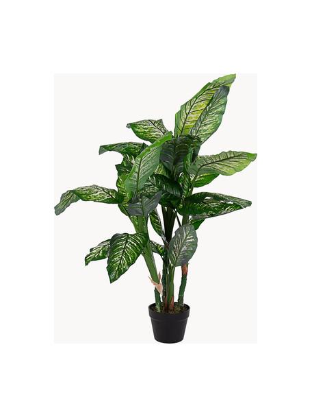 Kunstblume Dieffenbachia, H 120 cm, Kunststoff, Dunkelgrün, Ø 90 x H 120 cm