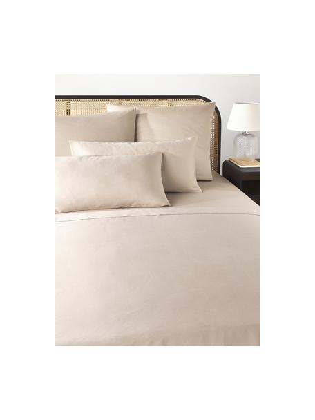 Baumwollsatin-Bettlaken Comfort, Webart: Satin Fadendichte 300 TC,, Hellbeige, B 180 x L 280 cm