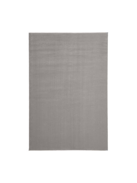 Wollen vloerkleed Ida in grijs, Bovenzijde: 100% wol, Onderzijde: 60% jute, 40% polyester B, Grijs, B 200 x L 300 cm (maat L)