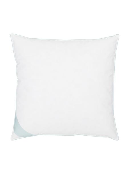 Oreiller en duvet Premium, intermédiaire, Intermédiaire, larg. 80 x long. 80 cm