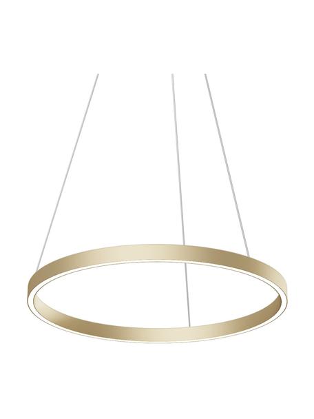 Grosse LED-Pendelleuchte Rim in Gold, Lampenschirm: Aluminium, Baldachin: Aluminium, Goldfarben, Ø 60 x H 40 cm