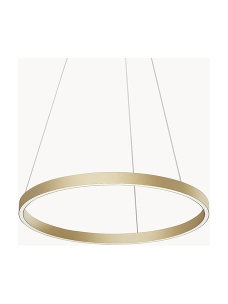 Veľká závesná LED lampa Rim, Odtiene zlatej, Ø 60 x V 40 cm