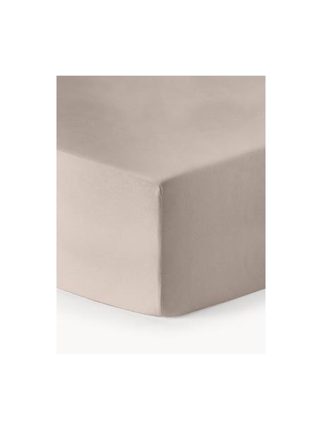 Boxspring-Spannbettlaken Biba, Flanell, Webart: Flanell, Beige, B 160 x L 200 cm, H 35 cm