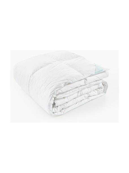 Donzen cassette-dekbed Comfort, warm, Warm, B 240 x L 220 cm