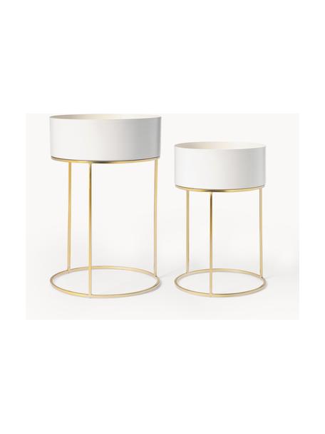Set 2 portavasi rotondi con struttura in metallo Palesa, Metallo verniciato a polvere, Bianco crema, oro, Set in varie misure