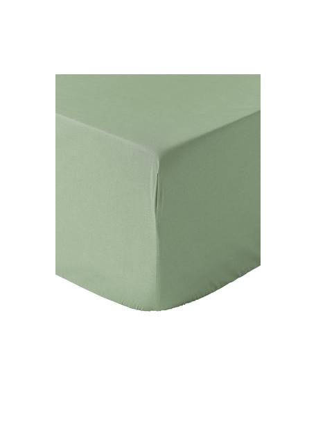 Lenzuolo con angoli boxspring in cotone percalle Elsie, Verde salvia, Larg. 90 x Lung. 200 cm