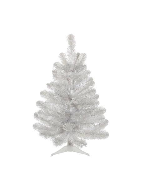 Umělý vánoční stromek Icelandic, V 60 cm, Umělá hmota, Bílá, opalizující, Ø 46 cm, V 60 cm