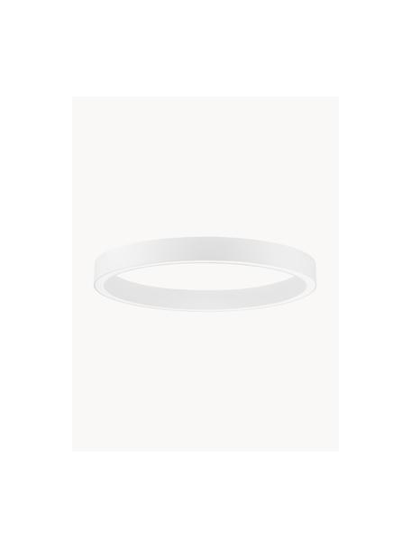 Große dimmbare LED-Deckenleuchte Sting, verschiedene Größen, Silberfarben, Ø 80 x H 8 cm
