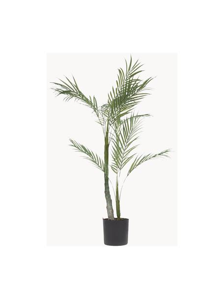 Kunstpalm Palme in plantenbak, Kunststof, Groen, zwart, L 84 cm