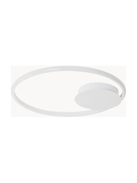 Plafonnier LED Fuline, intensité lumineuse variable, Blanc, Ø 50 x haut. 5 cm