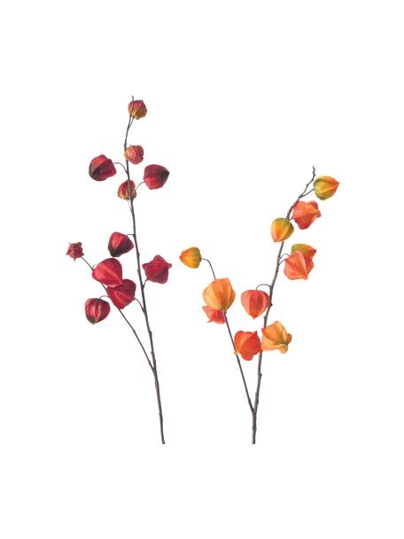 Fleurs artificielles Physalis, 2 élém., Plastique, Orange, rouge, brun, Long. 90 cm