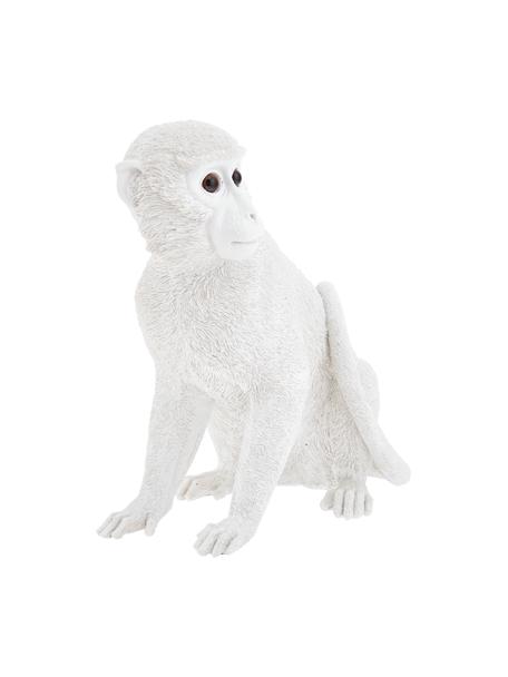 Skarbonka Monkey, Sztuczna żywica, Biały, W 30 x S 25 cm