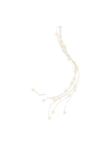 Ghirlanda luminosa a LED Triny, lung. 80 cm, bianco caldo, Materiale sintetico, Trasparente, Lung. 80 cm