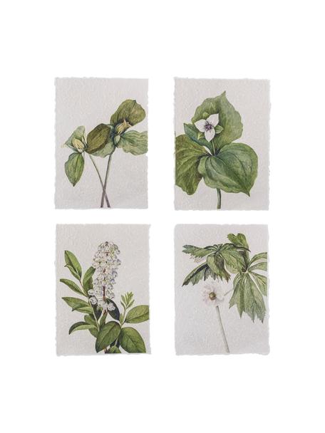 Set de pósters Fribo, 4 uds., Papel, Verde, blanco, An 26 x Al 35 cm