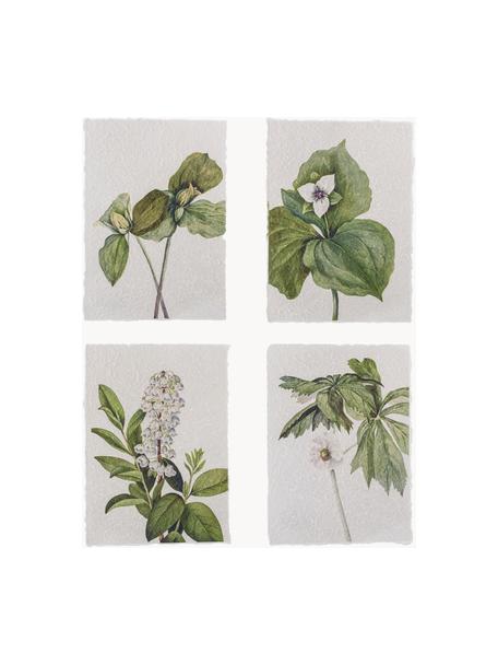 Set de pósters Fribo, 4 uds., Papel, Verde, blanco, An 26 x Al 35 cm