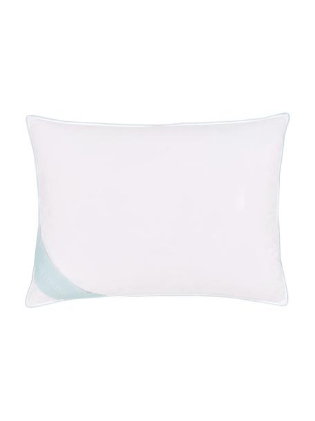 Almohada de plumas Comfort, dura, Funda: 100% algodón, sarga de Ma, Blanco con ribete turquesa satinado, An 50 cm x L 70 cm