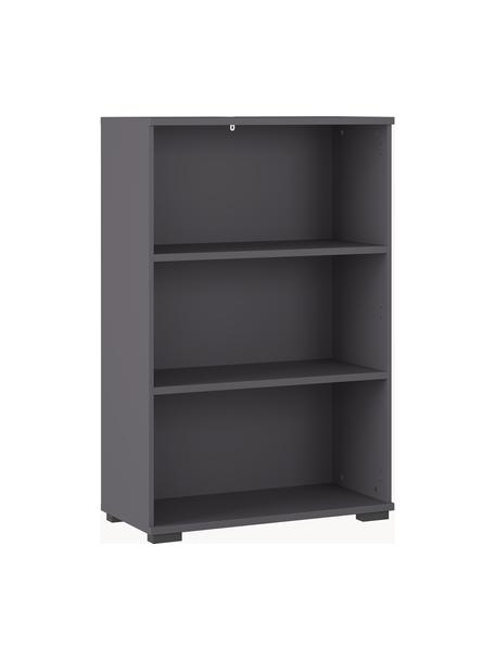 Büroregal Profi, Spanplatte mit Melaminharzfolie, Anthrazit, B 80 x H 123 cm