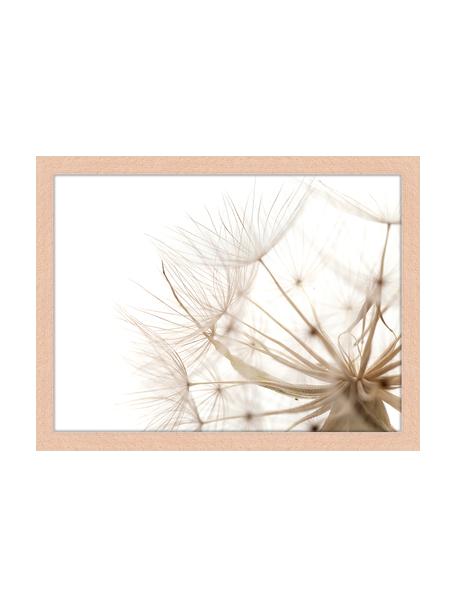 Gerahmter Digitaldruck Flora Of Gran Canaria, Bild: Digitaldruck auf Papier, , Rahmen: Holz, lackiert, Front: Plexiglas, Mehrfarbig, 43 x 33 cm