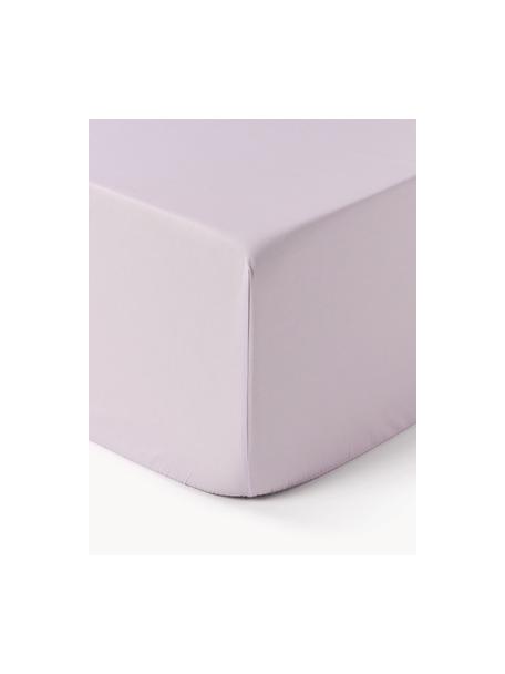 Boxspring-Spannbettlaken Elsie, Baumwollperkal, Webart: Perkal, Lavendel, B 90 x L 200 cm, H 35 cm