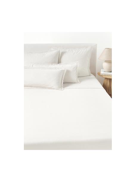 Drap plat en coton Adoria, Blanc, larg. 180 x long. 280 cm