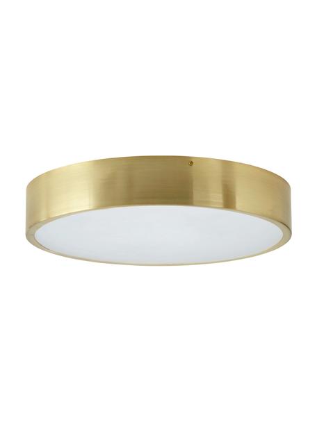 Plafoniera Dante, Struttura: metallo, Dorato, Ø 40 x Alt. 7 cm