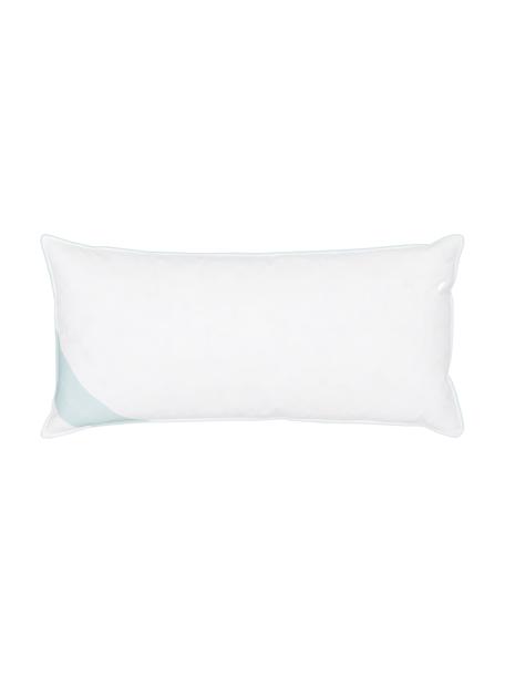 Almohada de plumón Premium, normal, Funda: 100% algodón Mako, Blanco, An 40 x L 80 cm