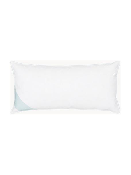 Cuscino medio con piuma d'oca Premium, Bianco con fascia di stoffa in raso turchese, Larg. 40 x Lung. 80 cm