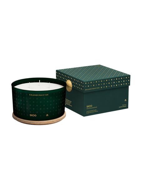 Candela profumata a tre stoppini Skog (aghi di pino, pigne, linfa di betulla), Contenitore: vetro, Coperchio: legno di betulla, Scatola: cartone, Aghi di pino, pigne, linfa di betulla, Ø 14 x Alt. 8 cm