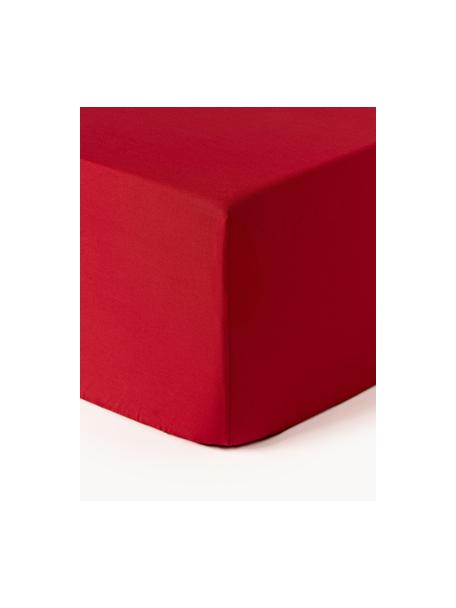 Boxspring hoeslaken Elsie, katoen perkal, Weeftechniek: perkal Draaddichtheid 200, Rood, B 90 x L 200 cm, H 35 cm