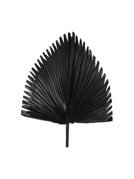 Kunstbloem palmblad in zwart, Polyester, Zwart, B 40 cm x H 85 cm