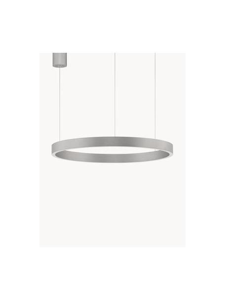 Grande suspension LED à intensité variable Elowen, tailles vairées, Argenté, Ø 60 x haut. 5 cm