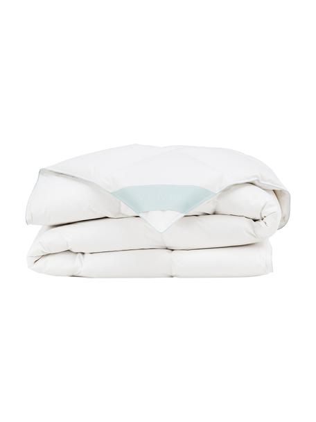Couette matelassée pur duvet Premium, légère, Légère, larg. 200 x long. 200 cm