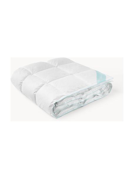 Couette matelassée pur duvet Premium, légère, Légère, larg. 200 x long. 200 cm