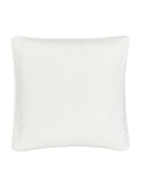 Jednobarevný sametový povlak na polštář Dana, 100% bavlněný samet, Béžová, Š 40 cm, D 40 cm