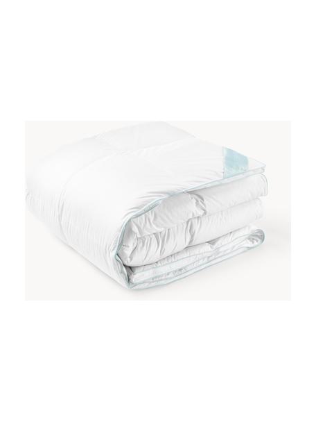 Couette pur duvet Premium, extra chaude, Extra chaude, larg. 140 x long. 200 cm