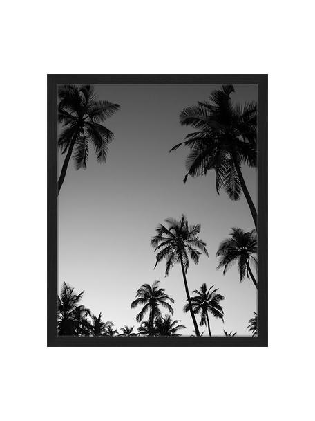Gerahmter Digitaldruck Palm Trees Silhouette At The Sunset, Bild: Digitaldruck auf Papier, , Rahmen: Holz, lackiert, Front: Plexiglas, Schwarz, Weiß, 43 x 53 cm