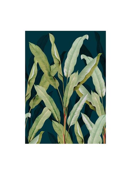 Papier peint photo Olive Branch, Intissé, Bleu, vert, larg. 200 x haut. 280 cm