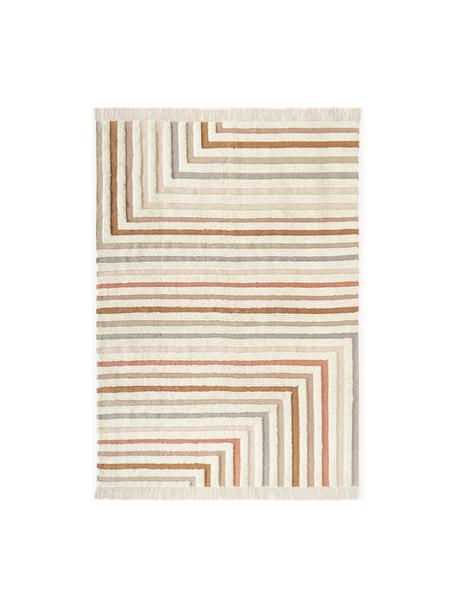 Tapis kilim tissé main avec franges Calais, 80 % laine, 20 % coton

Les tapis en laine peuvent perdre des fibres lors des premières semaines et des peluches peuvent se former, ce phénomène est naturel et diminue à mesure de votre usage et du temps, Beige, terracotta, taupe, larg. 80 x long. 150 cm (taille XS)