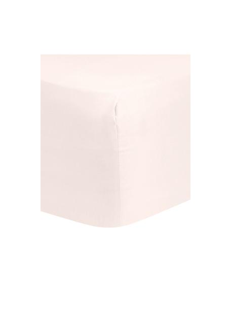 Hoeslaken Comfort in roze, katoensatijn, Weeftechniek: satijn, Roze, B 140 x L 200 cm