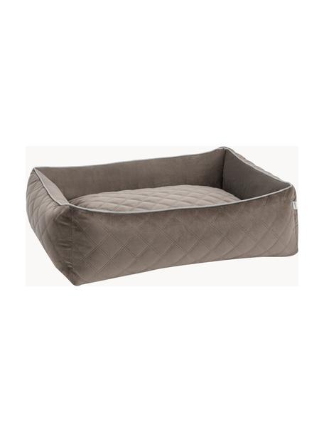 Samt-Hundebett Oxford, in verschiedenen Größen, Bezug: Samt (100 % Polyester), Taupe, Hellgrau, B 68 x T 55 cm