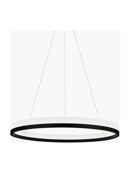 Grande suspension LED avec disque tamiseur Billions, Noir, blanc, Ø 80 cm