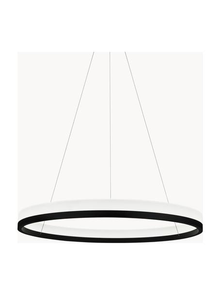 Veľká závesná LED lampa Billions, Čierna, biela, Ø 80 cm