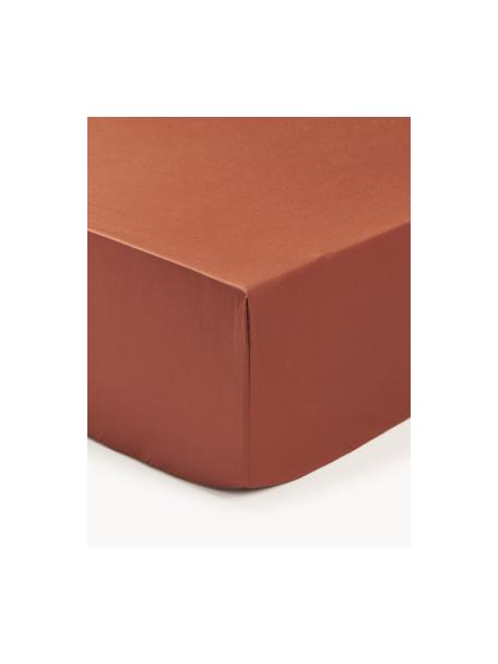Lenzuolo con angoli in raso di cotone Premium, Terracotta, Larg. 90 x Lung. 200 cm, Alt. 25 cm